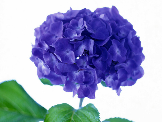 426963 (a): :1600x1200